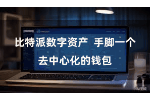 比特派数字资产 手脚一个去中心化的钱包