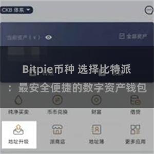 Bitpie币种 选择比特派：最安全便捷的数字资产钱包