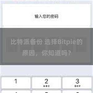 比特派备份 选择Bitpie的原因，你知道吗？