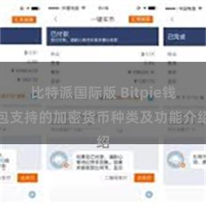 比特派国际版 Bitpie钱包支持的加密货币种类及功能介绍