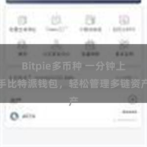 Bitpie多币种 一分钟上手比特派钱包，轻松管理多链资产