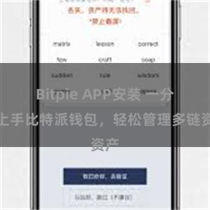 Bitpie APP安装 一分钟上手比特派钱包，轻松管理多链资产