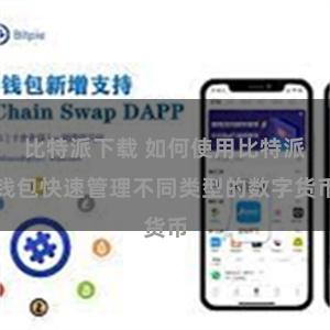比特派下载 如何使用比特派钱包快速管理不同类型的数字货币