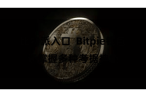 比特派入口  Bitpie钱包还撑握多种考据神色