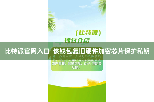 比特派官网入口  该钱包复旧硬件加密芯片保护私钥